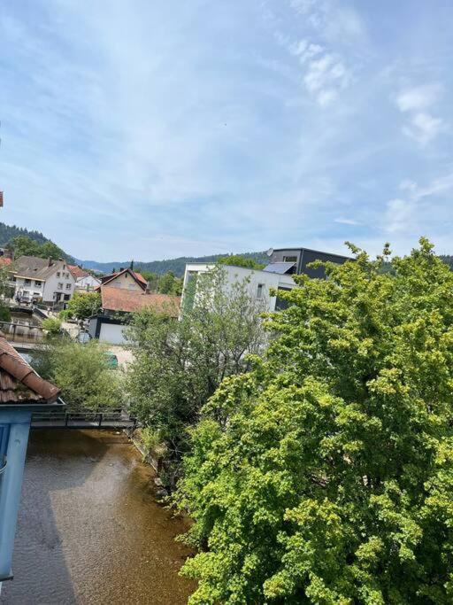 Loewen Appartement Hausach Exteriör bild